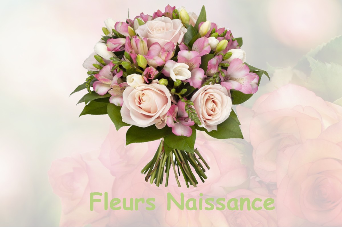 fleurs naissance GUILLAUMES