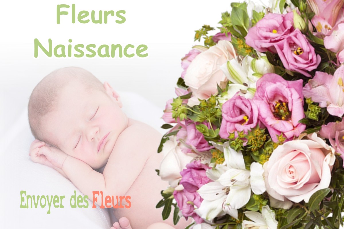 lIVRAISON FLEURS NAISSANCE à GUILLAUMES